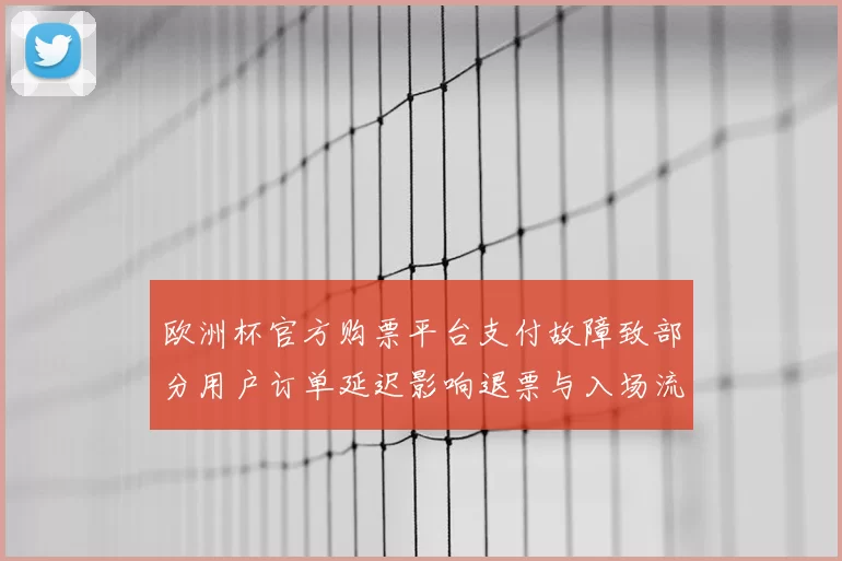 欧洲杯官方购票平台支付故障致部分用户订单延迟影响退票与入场流程