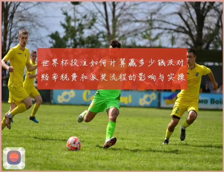 世界杯投注如何计算赢多少钱及对赔率税费和派奖流程的影响与实操提示