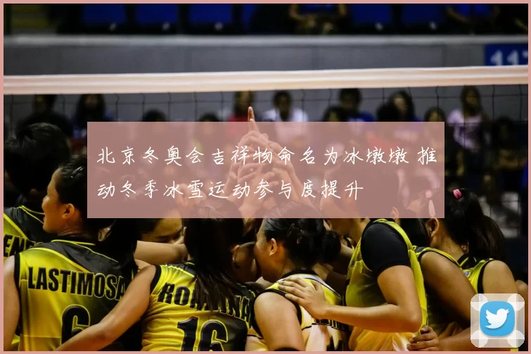 北京冬奥会吉祥物命名为冰墩墩 推动冬季冰雪运动参与度提升