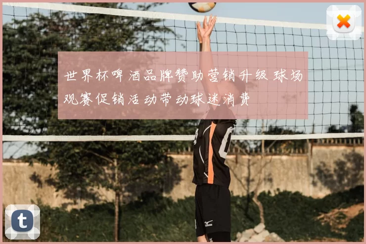 世界杯啤酒品牌赞助营销升级 球场观赛促销活动带动球迷消费
