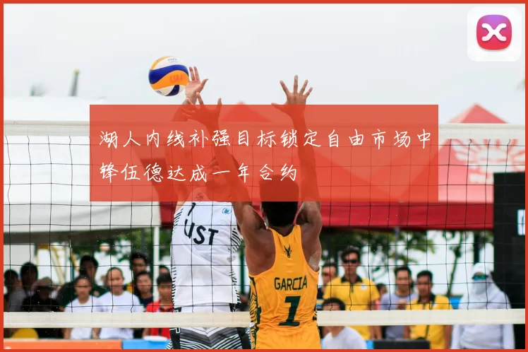 湖人内线补强目标锁定自由市场中锋伍德达成一年合约