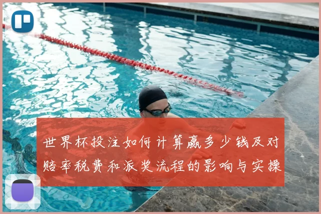 世界杯投注如何计算赢多少钱及对赔率税费和派奖流程的影响与实操提示