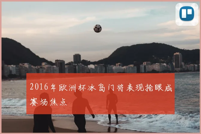 2016年欧洲杯冰岛门将表现抢眼成赛场焦点