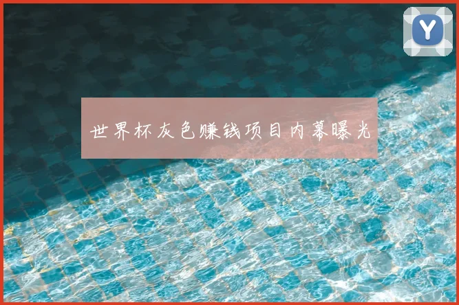 世界杯灰色赚钱项目内幕曝光