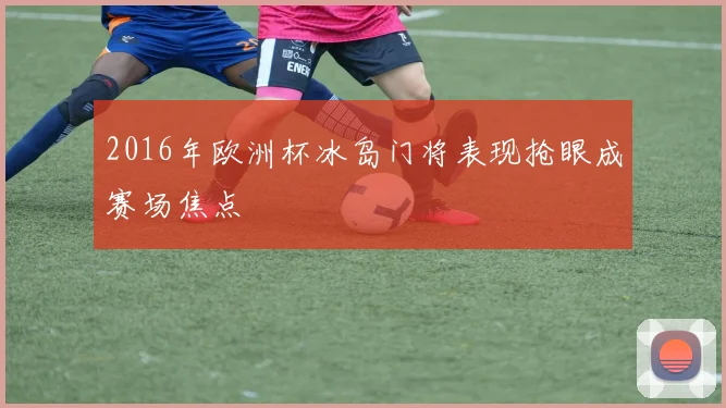 2016年欧洲杯冰岛门将表现抢眼成赛场焦点