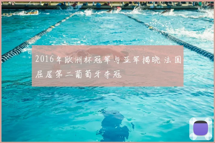 2016年欧洲杯冠军与亚军揭晓 法国屈居第二葡萄牙夺冠