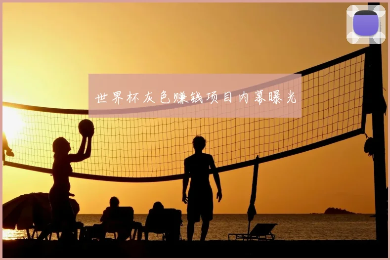 世界杯灰色赚钱项目内幕曝光