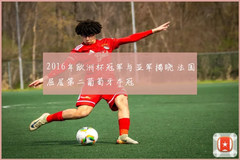 2016年欧洲杯冠军与亚军揭晓 法国屈居第二葡萄牙夺冠